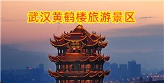鸡巴插屄激情视频91视频