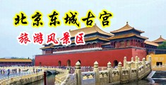 靠逼视频白虎中国北京-东城古宫旅游风景区