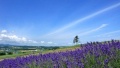 美女与男人肌对逼日本一地6日游  境外旅游 6880元/人