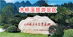 大奶骚逼求大鸡巴日综合网