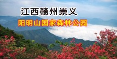 鸡吧差美女网站